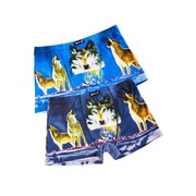 Трусы 2шт. BOKAI