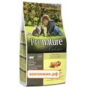 Сухой корм Pronature Holistic для котят курица со сладким картофелем (340 гр)