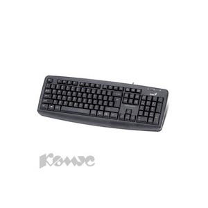 Клавиатура Genius KB110X черный USB black