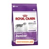 Сухой корм Royal Canin Giant adult для щенков (для гигантских пород с 8 месяцев до 2лет) (4 кг)