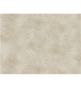 10F Perfectly Natural/ 102 Antique Plaster Pn100510 Обои