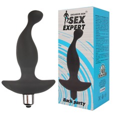 Мужской вибратор Sex Expert - Back party 13,5 см.