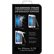 Защитное стекло DF iColor-02 (black) iPhone 5/5sSE с цветной рамкой