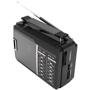 Радиоприемник Ritmix RPR-190 black