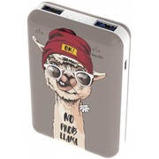 Аккумулятор внешний Ritmix RPB-10007 Lama 10000 mAh
