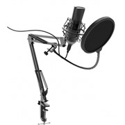 Микрофон Ritmix rdm-180 Black, настольный