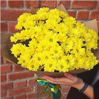 Букет из 15 веточек кустовых хризантем