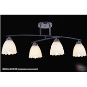  Reluce 62213-6.3-04 CR BK светильник потолочный