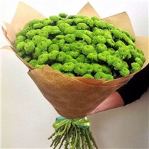 Букет из 15 веточек кустовых хризантем