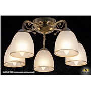  Sneha 31476/5 FGD светильник потолочный