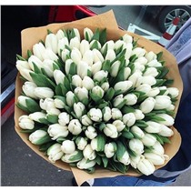 Букет микс из 101 тюльпана