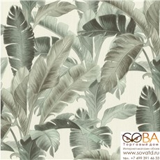 Обои Rasch 805505 Barbara XL купить по лучшей цене в интернет магазине стильных обоев Сова ТД. Доставка по Москве, МО и всей России