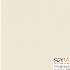 Обои Rasch Passepartout 606324 купить по лучшей цене в интернет магазине стильных обоев Сова ТД. Доставка по Москве, МО и всей России