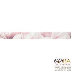 Бордюр Rapsodia violet 01  60х6,5 купить по лучшей цене в интернет магазине стильных обоев Сова ТД. Доставка по Москве, МО и всей России