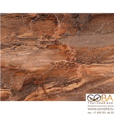 Плитка Trevi  настенная коричневая (TYN111D) 30x45 купить по лучшей цене в интернет магазине стильных обоев Сова ТД. Доставка по Москве, МО и всей России