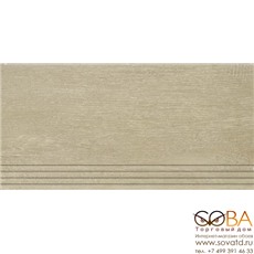 Ступень Estima  TS02 30x60 Непол. купить по лучшей цене в интернет магазине стильных обоев Сова ТД. Доставка по Москве, МО и всей России