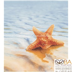 Панно Dec Starfish 1 Panno ( из 2-х шт) КПН16Starfish1 50х45 купить по лучшей цене в интернет магазине стильных обоев Сова ТД. Доставка по Москве, МО и всей России