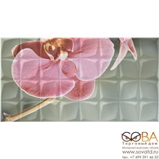 Декор Dec. Orchid A Rosa RSA  31,6x59,34 купить по лучшей цене в интернет магазине стильных обоев Сова ТД. Доставка по Москве, МО и всей России