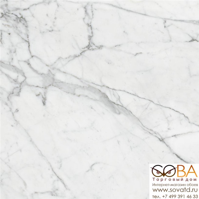 Керамогранит Marble Trend  K-1000/MR/60x120 Carrara купить по лучшей цене в интернет магазине стильных обоев Сова ТД. Доставка по Москве, МО и всей России