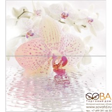Панно Dec Orchid Panno ( из 2-х шт) КПН16Orchid 50х45 купить по лучшей цене в интернет магазине стильных обоев Сова ТД. Доставка по Москве, МО и всей России