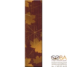 Бордюр Clones brown (braz)  6,5x25 купить по лучшей цене в интернет магазине стильных обоев Сова ТД. Доставка по Москве, МО и всей России