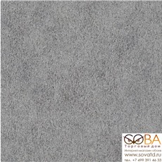 Обои Rasch 422320 African Queen купить по лучшей цене в интернет магазине стильных обоев Сова ТД. Доставка по Москве, МО и всей России