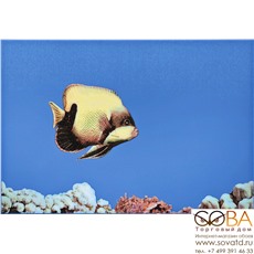 Декор MONO FISH 1  27,5х40 купить по лучшей цене в интернет магазине стильных обоев Сова ТД. Доставка по Москве, МО и всей России