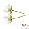 Панно City White Lilies  40x50 (2пл), интернет-магазин Sportcoast.ru