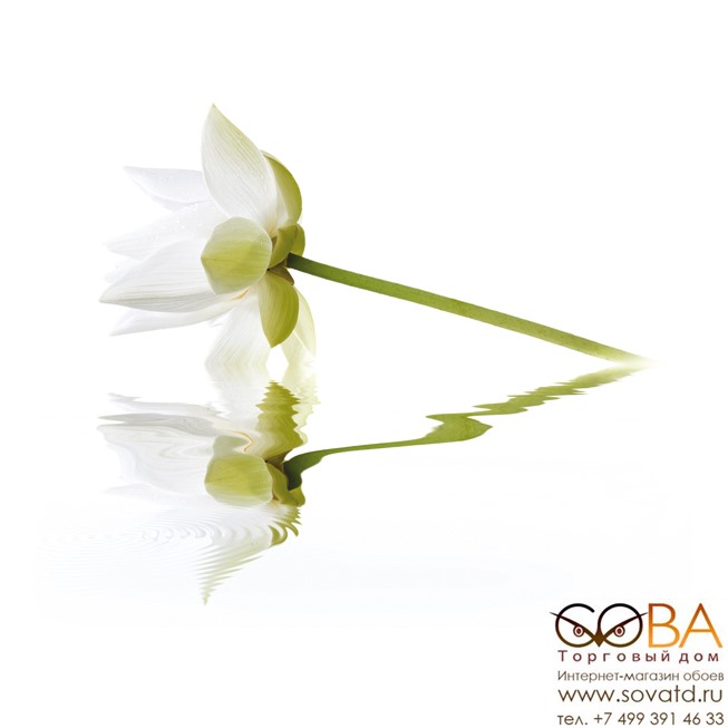 Панно City White Lilies  40x50 (2пл) купить по лучшей цене в интернет магазине стильных обоев Сова ТД. Доставка по Москве, МО и всей России