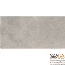 Керамогранит STN Ceramica Monolith Grey Matt Rect. (59.5x120)см CAN5MONLDDAA (Испания) купить по лучшей цене в интернет магазине стильных обоев Сова ТД. Доставка по Москве, МО и всей России