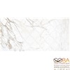 Декор Marble Trend  K-1001/MR/d01/30x60 Calacatta, интернет-магазин Sportcoast.ru