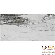 Керамогранит Cercom To Be Renoir Lux-Ret (60x120)см 1060451 (Италия) купить по лучшей цене в интернет магазине стильных обоев Сова ТД. Доставка по Москве, МО и всей России