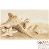 Плитка Amalfi sand decor 01 250х400 мм - 13 шт., интернет-магазин Sportcoast.ru