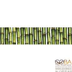 Бордюр Jungle  зелёный (JU1C021) 6x25 купить по лучшей цене в интернет магазине стильных обоев Сова ТД. Доставка по Москве, МО и всей России