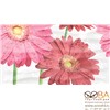 Плитка Dec Gerbera Panno A КПН16GerberaA 25х45, интернет-магазин Sportcoast.ru